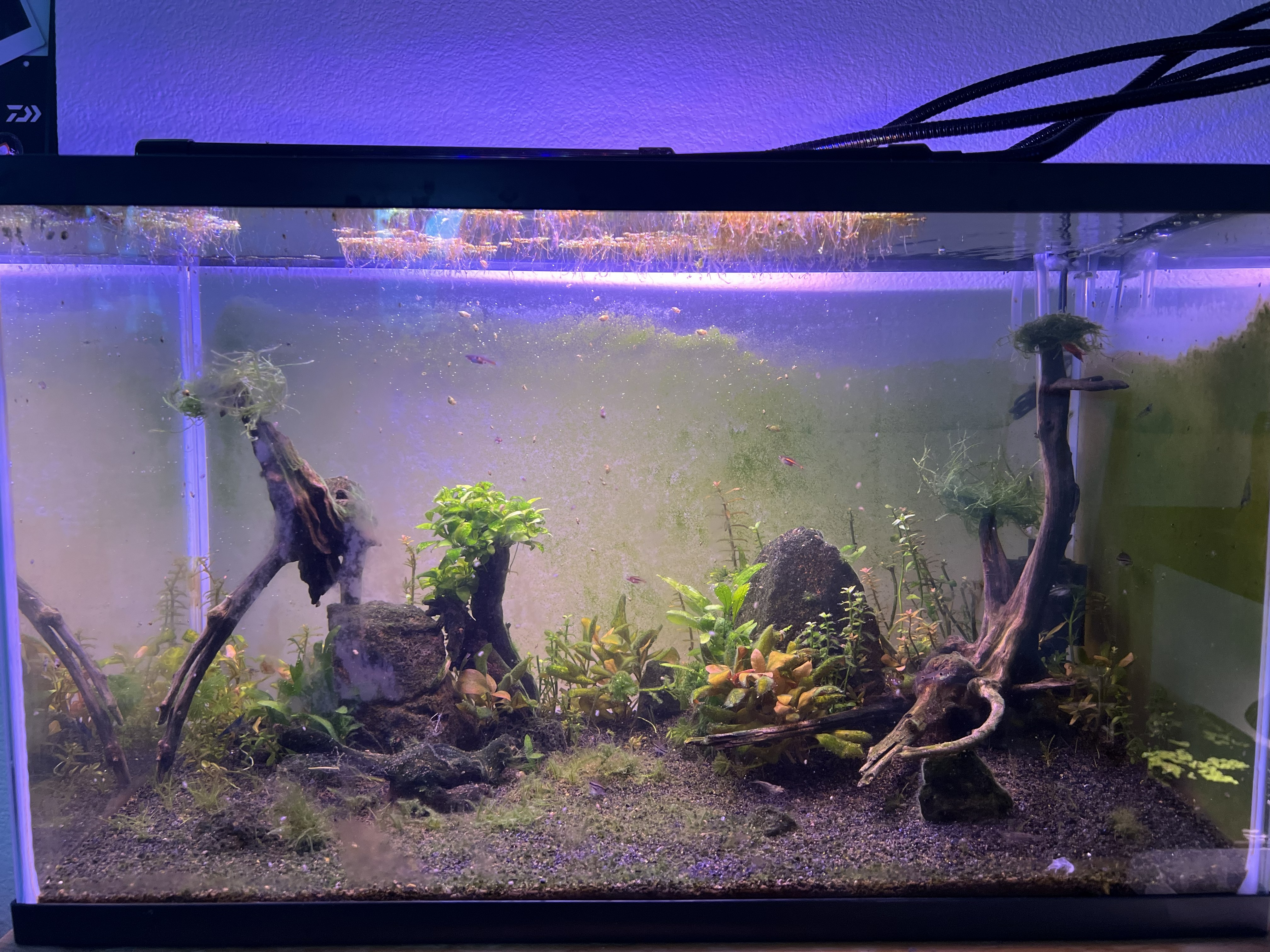 Nano tank setup Oahu Hawaii