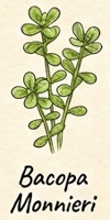 Bacopa Monnieri