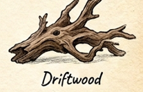 Driftwood